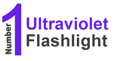 UV Ultraviolet Flashlight